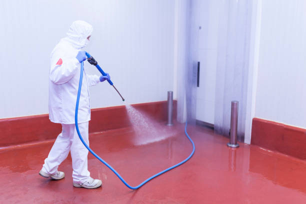Best Restaurant Pressure Washing  in Cleveland, FL