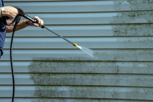 Best Gutter Cleaning  in Cleveland, FL
